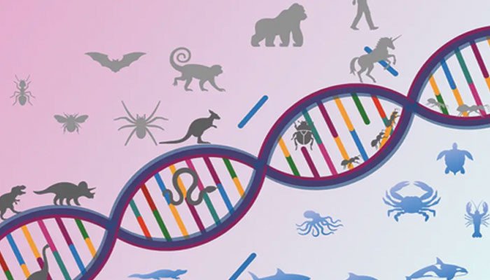 Scientific and intellectual dimensions of evolution