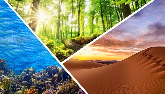 “ecosystem” means a balance of living and non-living things and a natural resource of the environment;