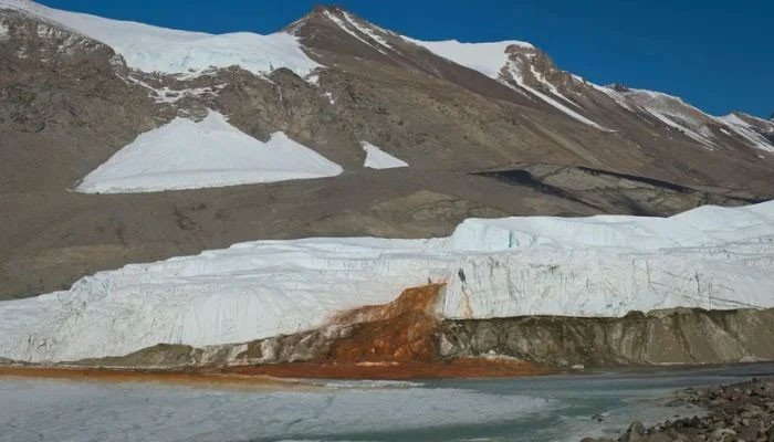 An important clue to the mysterious red water of Antarctica has been found