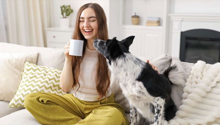 Pet dogs can distinguish between different emotional states on human faces: research