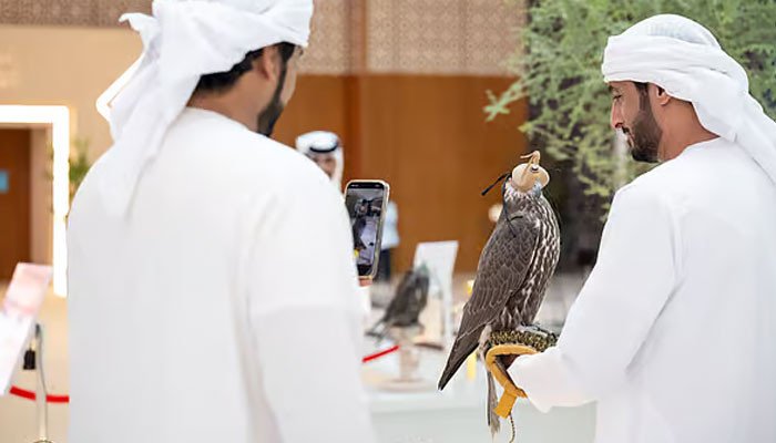 Abu Dhabi auction, ‘Super White’ Shaheen sold for Rs 1 crore 89 lakh