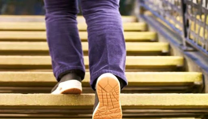 Daily stair climbing can reduce the risk of death from heart disease by 39 percent, research shows