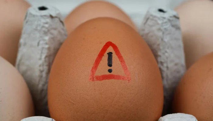 Manchester: Up to 25% increased risk of salmonella virus from eggs identified
