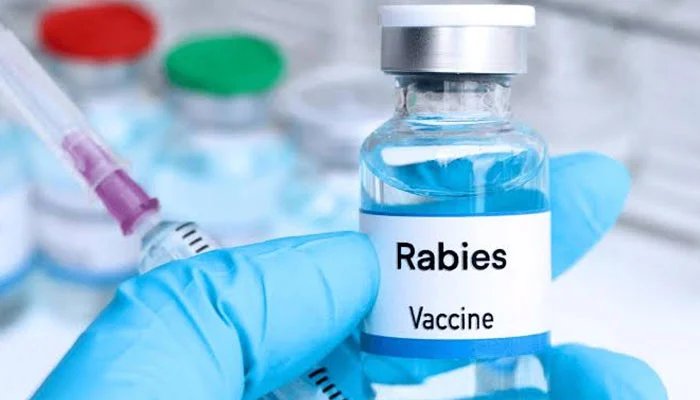 How many hours after a dog bite is the rabies vaccine necessary?