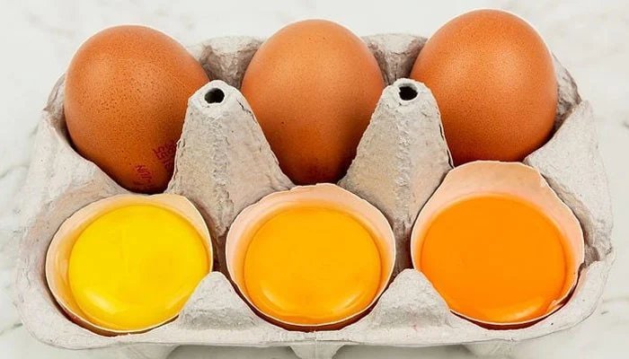 The Science of Boiling Eggs 6 Best Times to Boil the Yolk to Your Choice