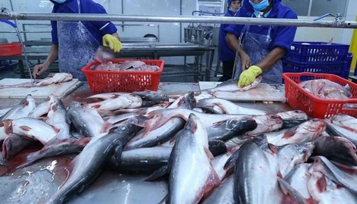Historic increase in Pakistan’s seafood exports