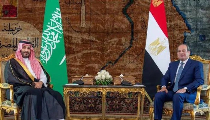 Global concern over Bab al-Mandab, Saudi crown prince’s meeting with Egyptian president, emphasis on securing maritime traffic