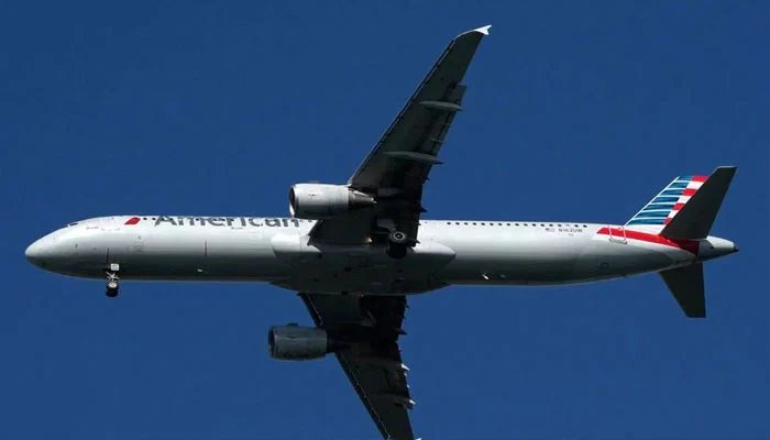 A woman’s indecent behavior in a US domestic flight, arrested as soon as she got off the plane